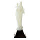Estatua Virgen de Lourdes fosforescente 10 cm s4