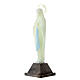 Estatua de la Virgen de Lourdes fosforescente 10 cm s3