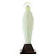 Estatua de la Virgen de Lourdes fosforescente 10 cm s4