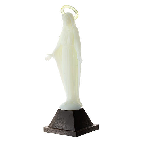 Fluorescent statue of Our Immaculate Lady 10 cm 3