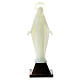 Estatua Virgen Inmaculada fosforescente 10 cm s1
