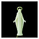 Estatua Virgen Inmaculada fosforescente 10 cm s2
