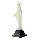 Estatua Virgen Inmaculada fosforescente 10 cm s3