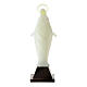 Estatua Virgen Inmaculada fosforescente 10 cm s4