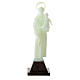 Saint Anthony's small statue of fluorescent plastic 10 cm s1