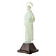 Saint Anthony's small statue of fluorescent plastic 10 cm s3