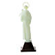 Statue Saint Antoine plastique fluorescent 10 cm s4