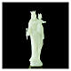Estatua Virgen Auxiliadora fosforescente 12 cm s2