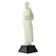 Statue of St. Anthony, fluorescent plastic, 12 cm s3