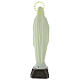 Estatua Virgen de Lourdes fosforescente 35 cm s5