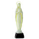 Statua Madonna di Lourdes fosforescente 35 cm  s1