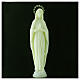 Statua Madonna di Lourdes fosforescente 35 cm  s2