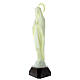 Statua Madonna di Lourdes fosforescente 35 cm  s3