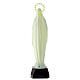 Statua Madonna di Lourdes fosforescente 35 cm  s4