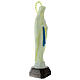 Statua Madonna di Lourdes fosforescente 35 cm  s3