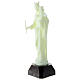 Estatua Virgen Auxiliadora plástico fluorescente base 27 cm s3