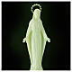 Estatua Virgen Milagrosa plástico fluorescente base 34 cm s2