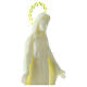 Estatua Virgen Milagrosa plástico fluorescente base 34 cm s3