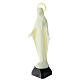 Estatua Virgen Milagrosa plástico fluorescente base 34 cm s4