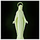 Statua Madonna Miracolosa plastica fluorescente base 34 cm s2