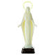 Fluorescent statue, made of plastic, Our Lady Immaculate, 22 cm high s1