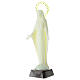 Fluorescent statue, made of plastic, Our Lady Immaculate, 22 cm high s2