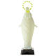 Fluorescent statue, made of plastic, Our Lady Immaculate, 22 cm high s4