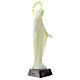 Estatua plástico fluorescente Virgen Inmaculada 22 cm s3