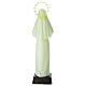 Fluorescent plastic statue of Saint Rita 24 cm high s5