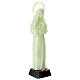 Estatua plástico Santa Rita 24 cm fluorescente s3
