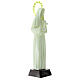 Statue plastique Sainte Rita 24 cm fluorescente s3
