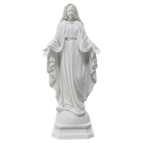 Statua resina Madonna Miracolosa 18 cm 1