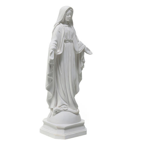 Statua resina Madonna Miracolosa 18 cm 3
