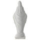 Estatua Virgen Milagrosa blanca resina 18 cm s4