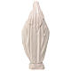 Statua Madonna Miracolosa resina bianca 30 cm s5