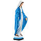 Blessed Virgin Mary statue hand painted 30 cm s4