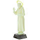 Statue Padre Pio fluorescente avec rose rose et auréole 21 cm s2