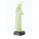 Statue of Padre Pio with phosphorescent halo rose 21 cm s3