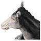 Donkey statue for nativity scene OUTDOOR in fiberglass h 165 cm s5