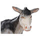 Donkey statue for nativity scene OUTDOOR in fiberglass h 165 cm s7