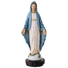 Statua resina Madonna Miracolosa 25 cm colorata