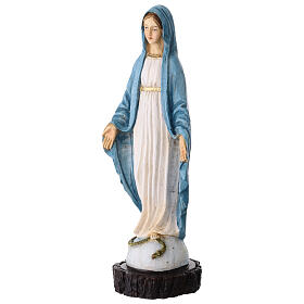 Statua resina Madonna Miracolosa 25 cm colorata