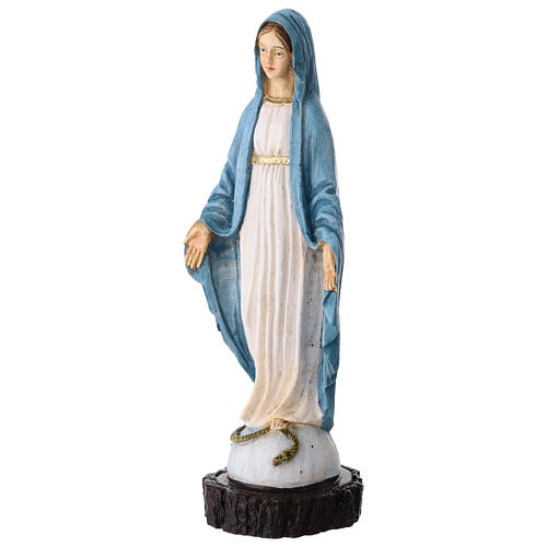 Statua resina Madonna Miracolosa 25 cm colorata 2