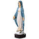 Statua resina Madonna Miracolosa 25 cm colorata s2