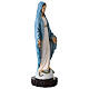Statua resina Madonna Miracolosa 25 cm colorata s3