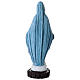 Statua resina Madonna Miracolosa 25 cm colorata s4