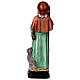 Saint Roch colored resin statue, 20 cm s4
