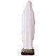 Virgen de Lourdes estatua resina pintada 50 cm s9