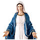 Miraculous Mary statue in painted resin, 60 cm s3