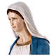 Miraculous Mary statue in painted resin, 60 cm s6